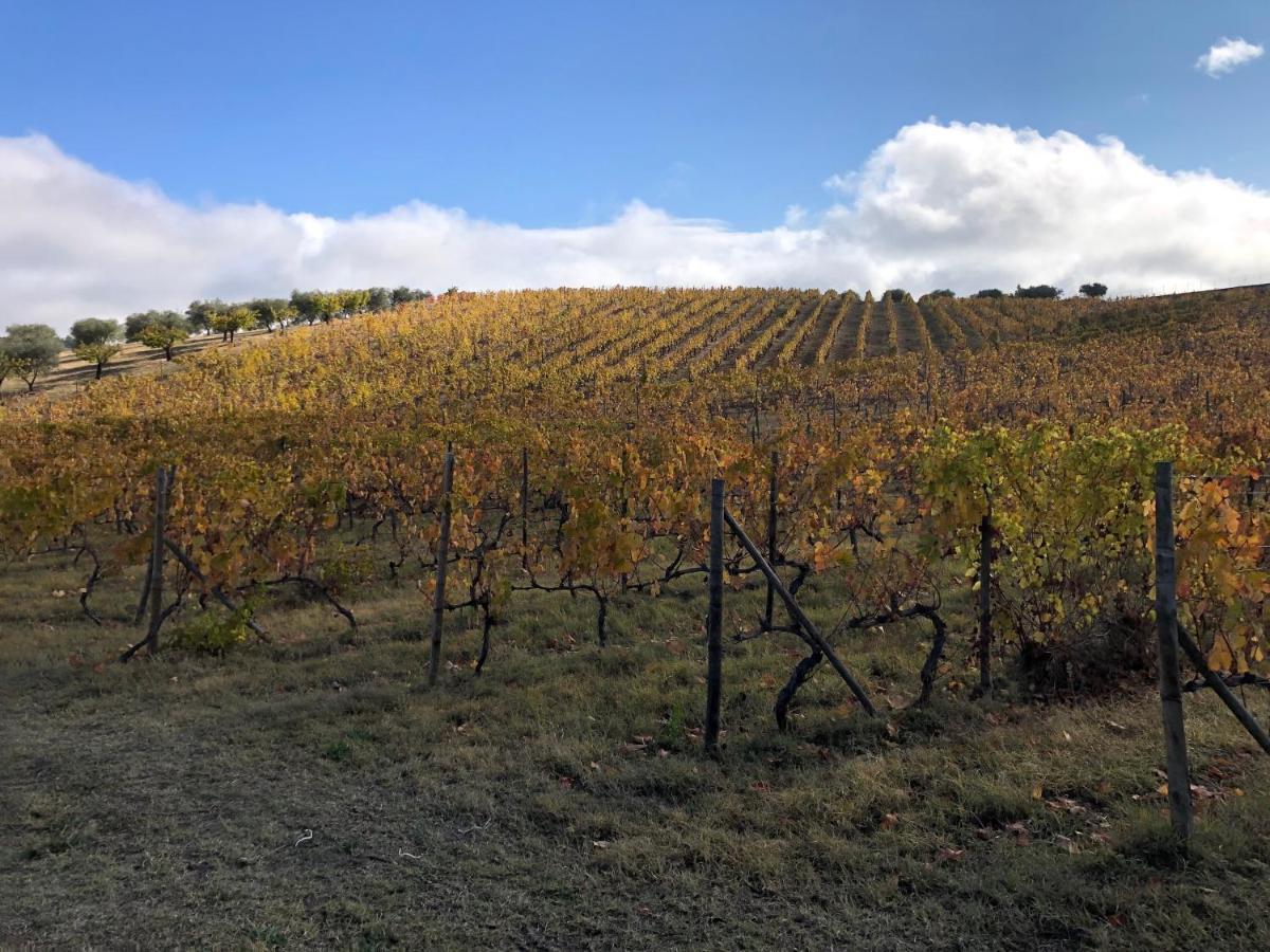 فندق Quinta Da Pereira E Enricas Agro-Turismo فيلا فلور المظهر الخارجي الصورة