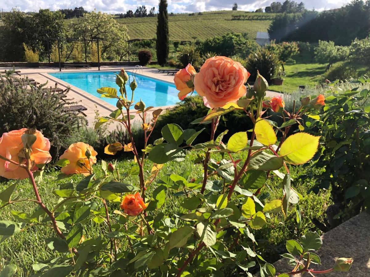 فندق Quinta Da Pereira E Enricas Agro-Turismo فيلا فلور المظهر الخارجي الصورة
