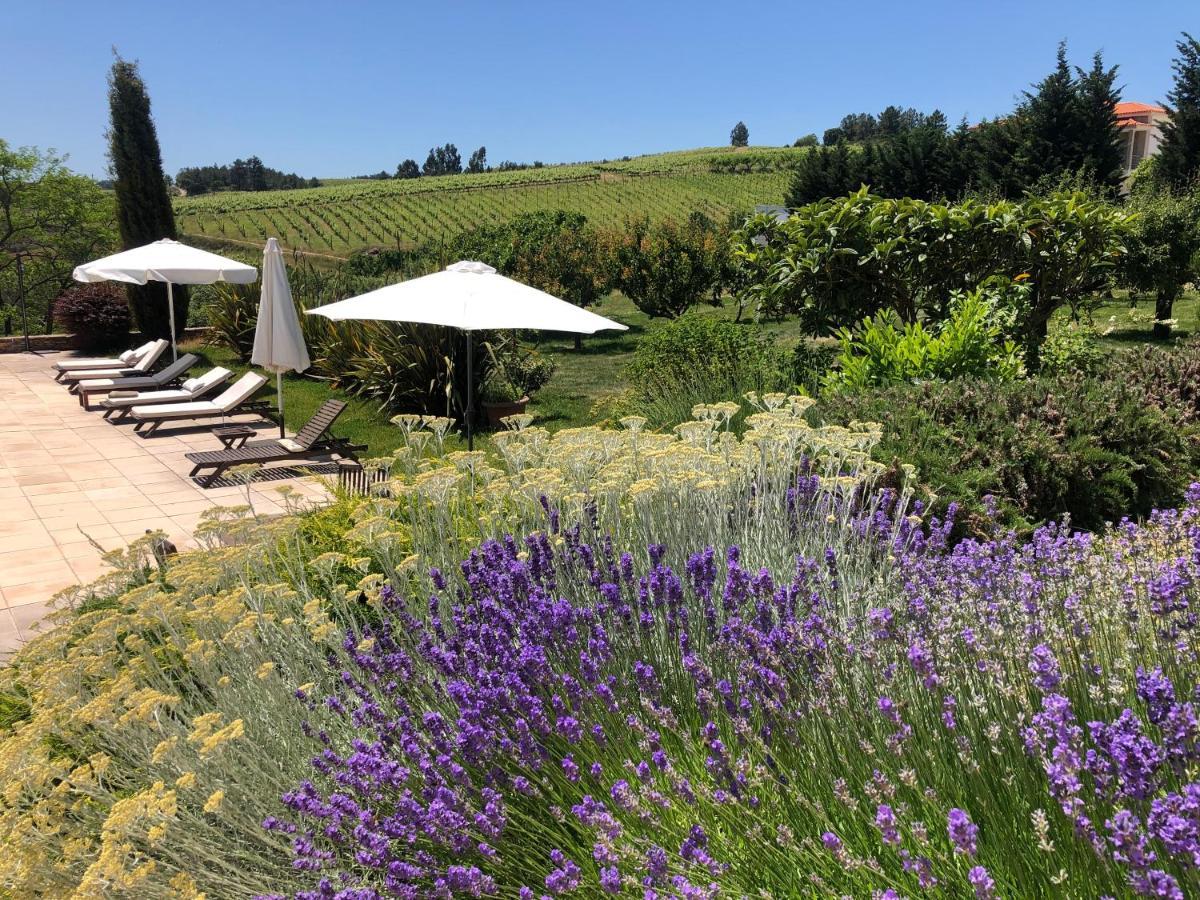فندق Quinta Da Pereira E Enricas Agro-Turismo فيلا فلور المظهر الخارجي الصورة