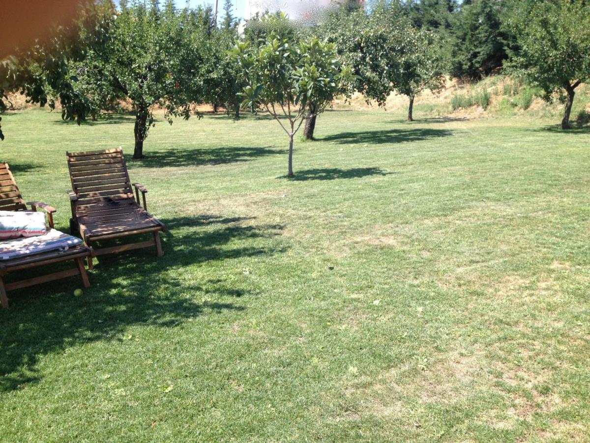 فندق Quinta Da Pereira E Enricas Agro-Turismo فيلا فلور المظهر الخارجي الصورة